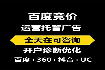 SEO与百度推广结合的营销策略——经典案例解析